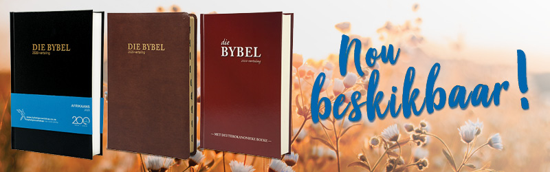 Apokriewe Boeke Van Die Bybel Pdf Downloadgolkes